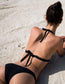 Haut Paraiso en Ink - STATICE